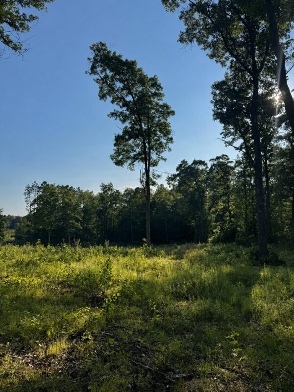 9211 Tripp Road, Springbrook WI 54875 - Land house for sale - MLS #1604159 - image23