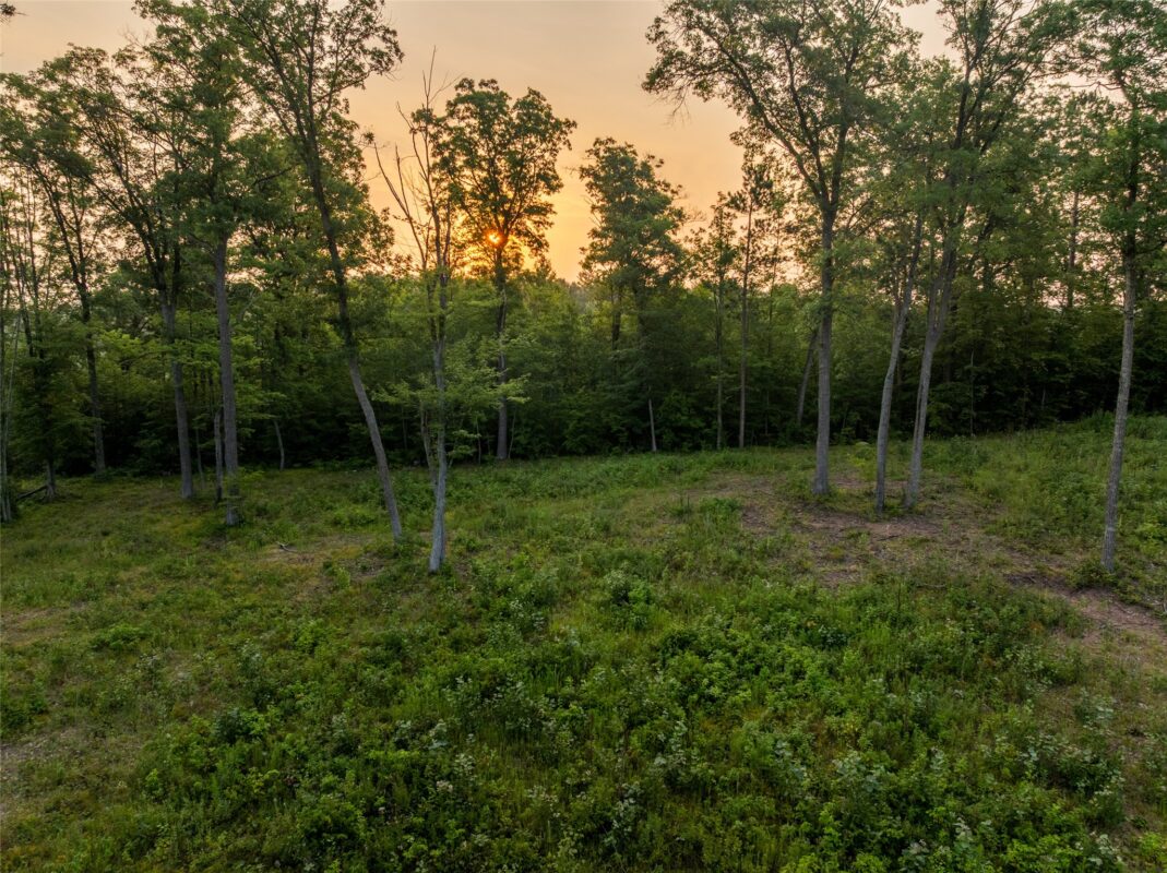 9211 Tripp Road, Springbrook WI 54875 - Land house for sale - MLS #1604159 - image4
