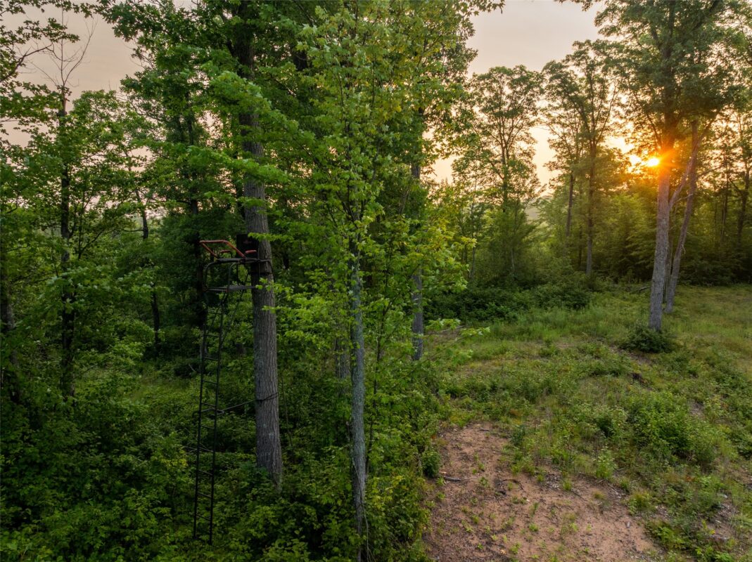9211 Tripp Road, Springbrook WI 54875 - Land house for sale - MLS #1604159 - image34