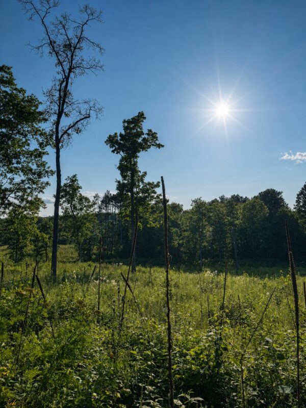 9211 Tripp Road, Springbrook WI 54875 - Land house for sale - MLS #1604159 - image39