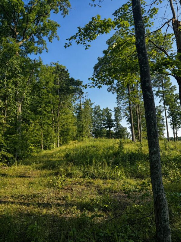 9211 Tripp Road, Springbrook WI 54875 - Land house for sale - MLS #1604159 - image40