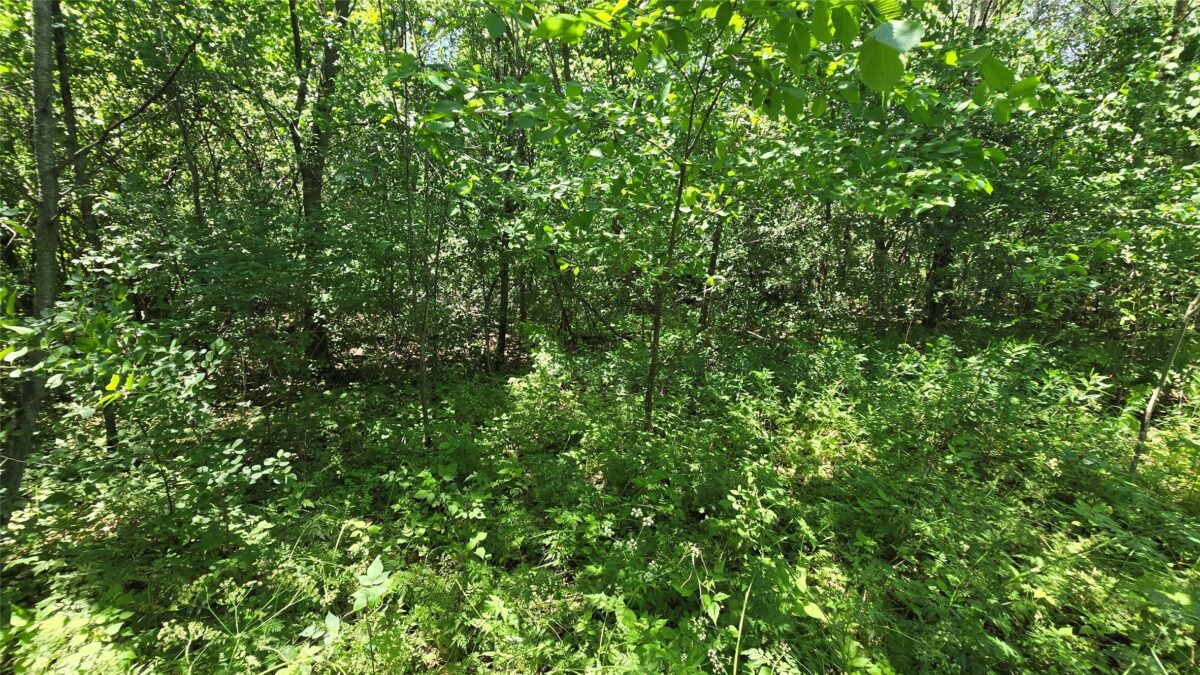 , Bloomer WI 54724 - Land house for sale - MLS #1602248 - image4