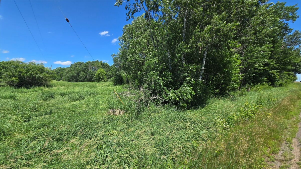 , Bloomer WI 54724 - Land house for sale - MLS #1602248 - image5