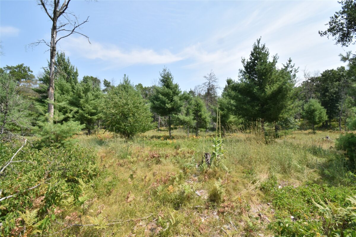 Lot 1 Pleasant Acres Trail, Danbury WI 54830 - Land house for sale - MLS #1604076 - image11