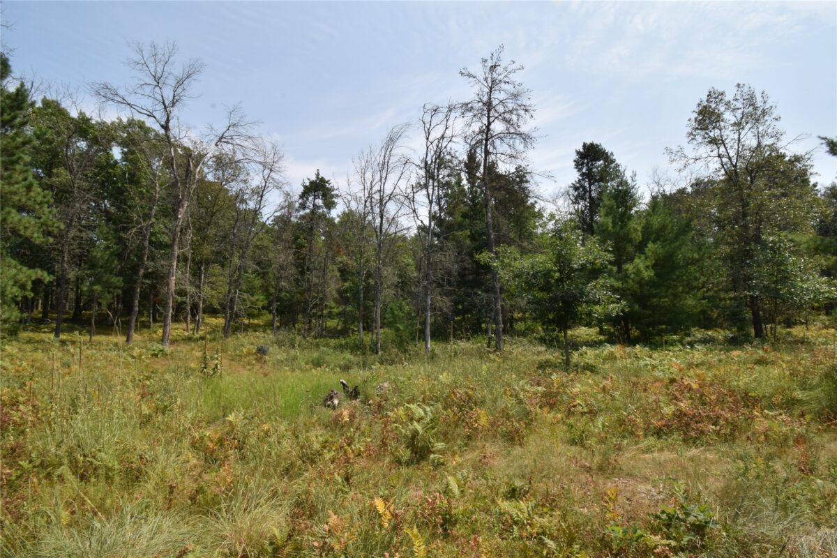 Lot 1 Pleasant Acres Trail, Danbury WI 54830 - Land house for sale - MLS #1604076 - image12