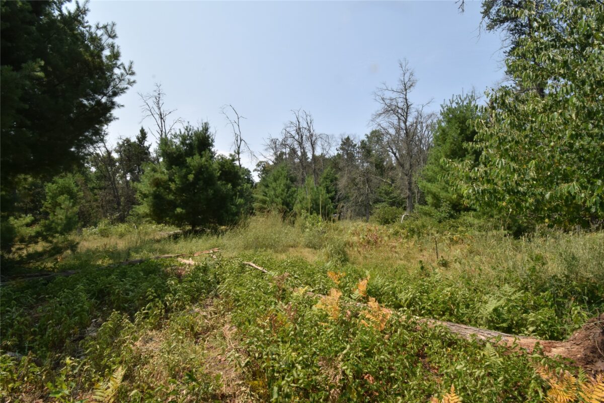 Lot 1 Pleasant Acres Trail, Danbury WI 54830 - Land house for sale - MLS #1604076 - image13