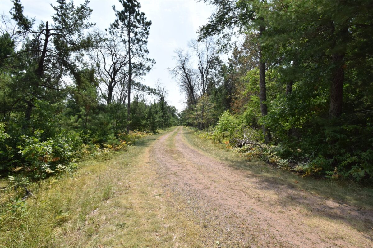Lot 1 Pleasant Acres Trail, Danbury WI 54830 - Land house for sale - MLS #1604076 - image6