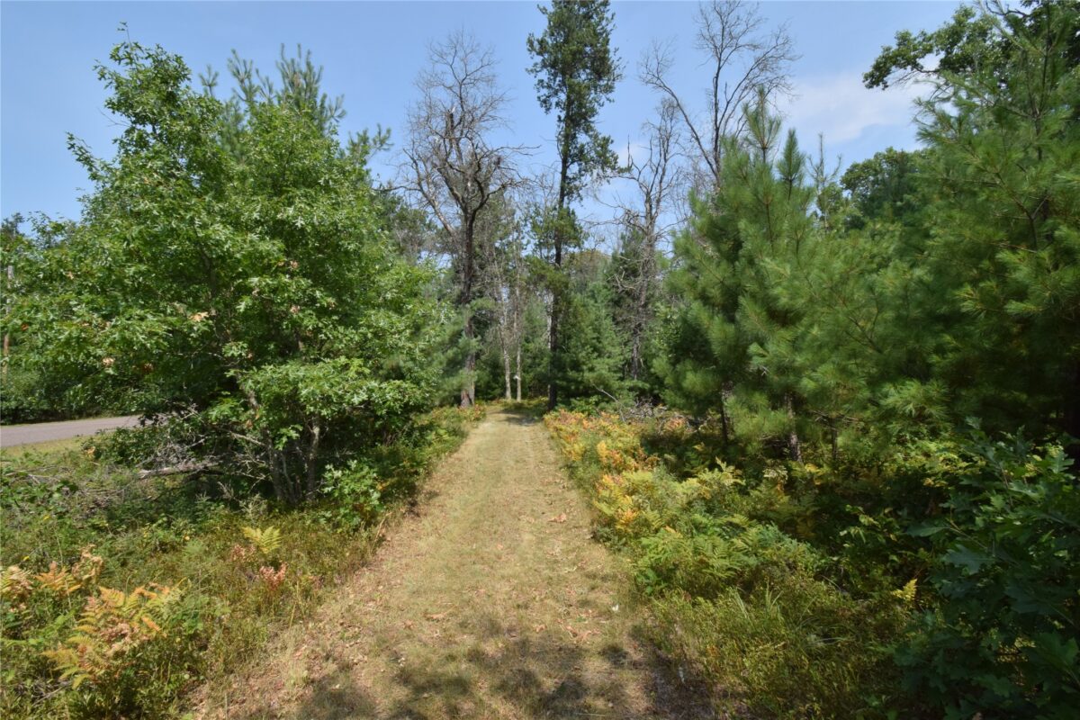 Lot 1 Pleasant Acres Trail, Danbury WI 54830 - Land house for sale - MLS #1604076 - image8