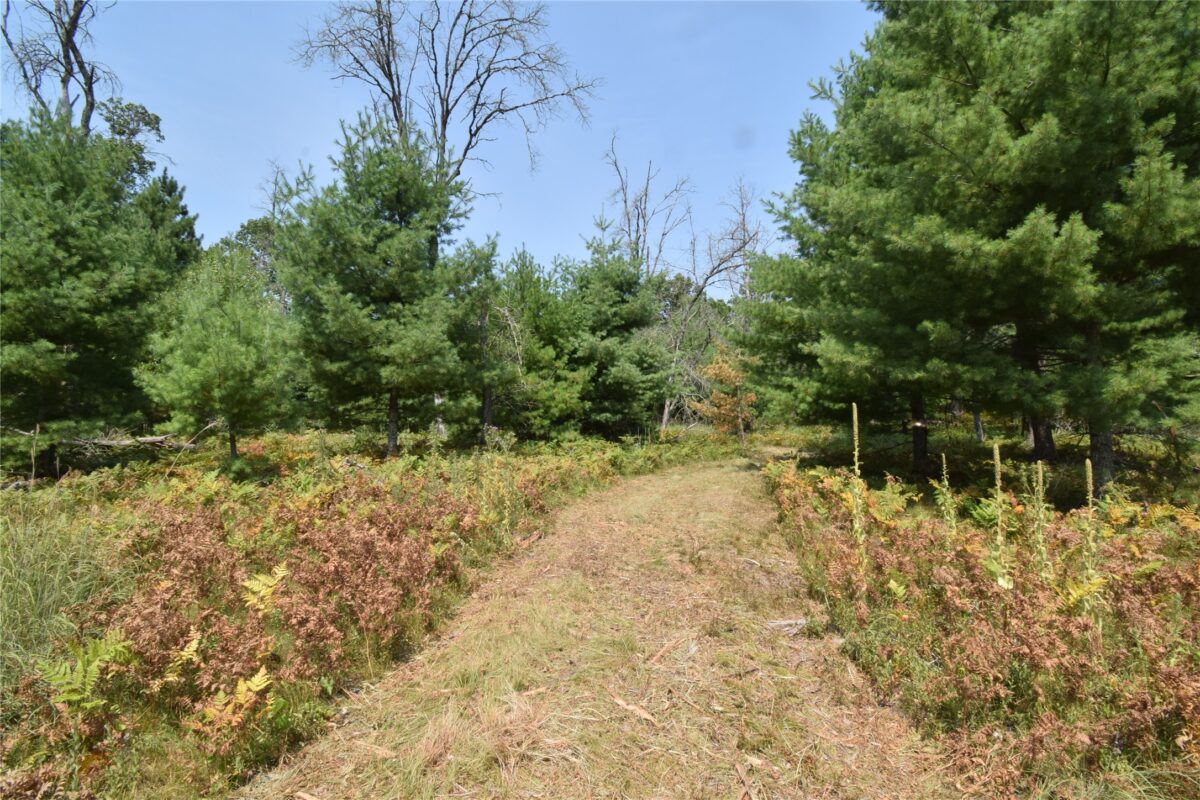 Lot 1 Pleasant Acres Trail, Danbury WI 54830 - Land house for sale - MLS #1604076 - image9