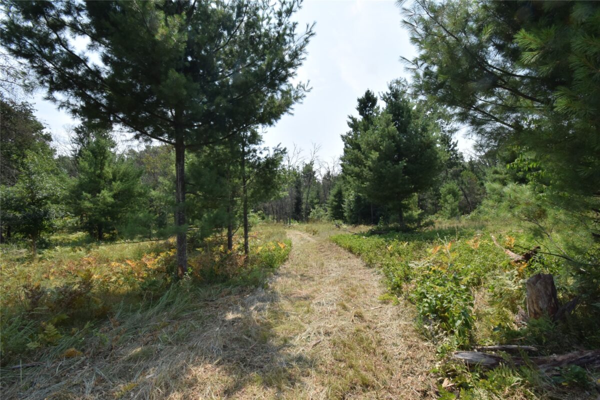 Lot 1 Pleasant Acres Trail, Danbury WI 54830 - Land house for sale - MLS #1604076 - image10