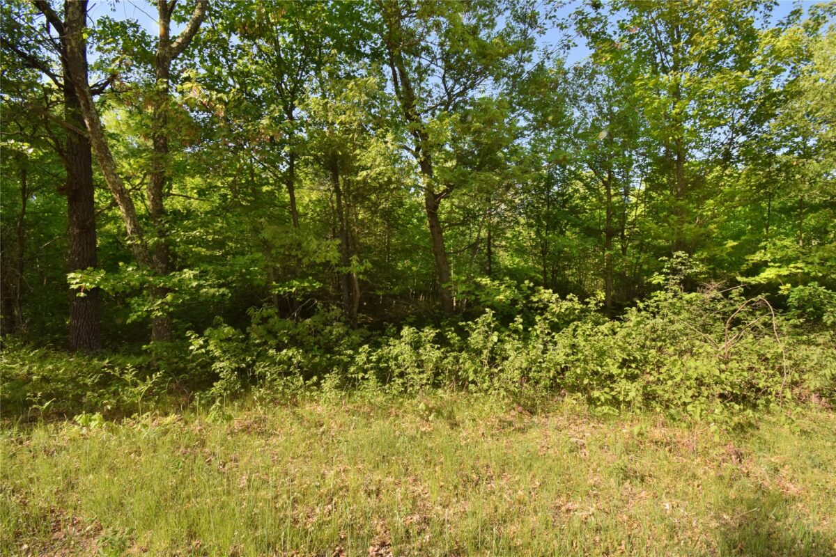 Lot 106 Setting Sun Court, Danbury WI 54830 - Land house for sale - MLS #1601808 - image13