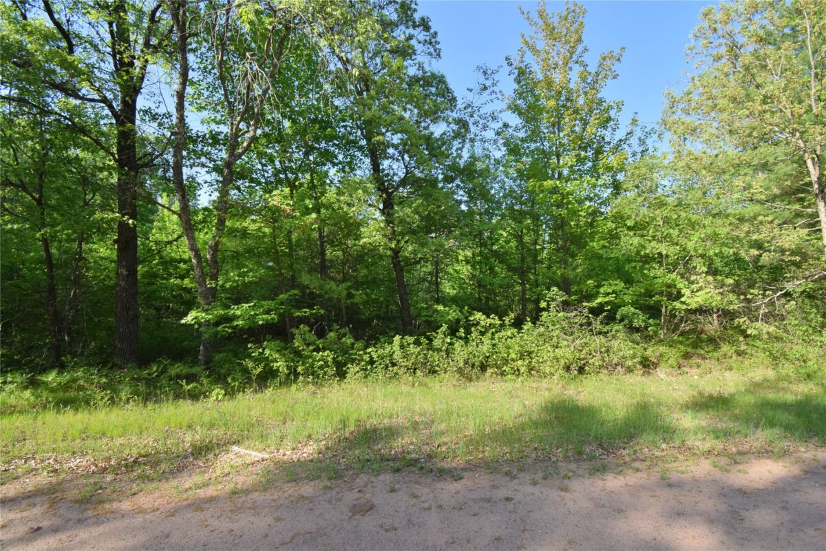 Lot 106 Setting Sun Court, Danbury WI 54830 - Land house for sale - MLS #1601808 - image14