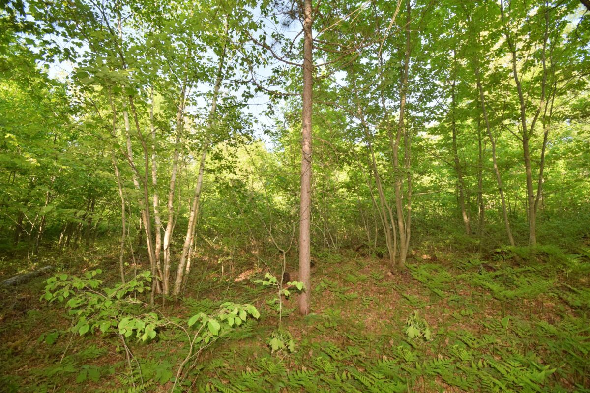 Lot 106 Setting Sun Court, Danbury WI 54830 - Land house for sale - MLS #1601808 - image15