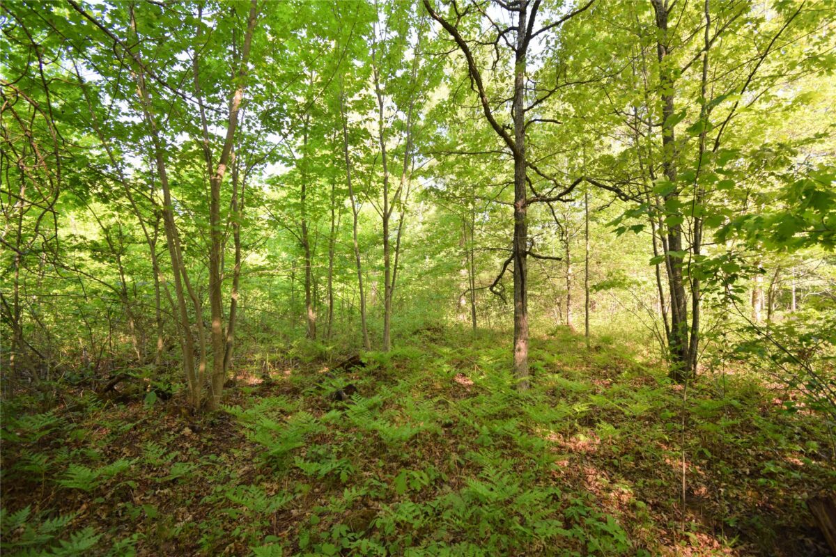 Lot 106 Setting Sun Court, Danbury WI 54830 - Land house for sale - MLS #1601808 - image16