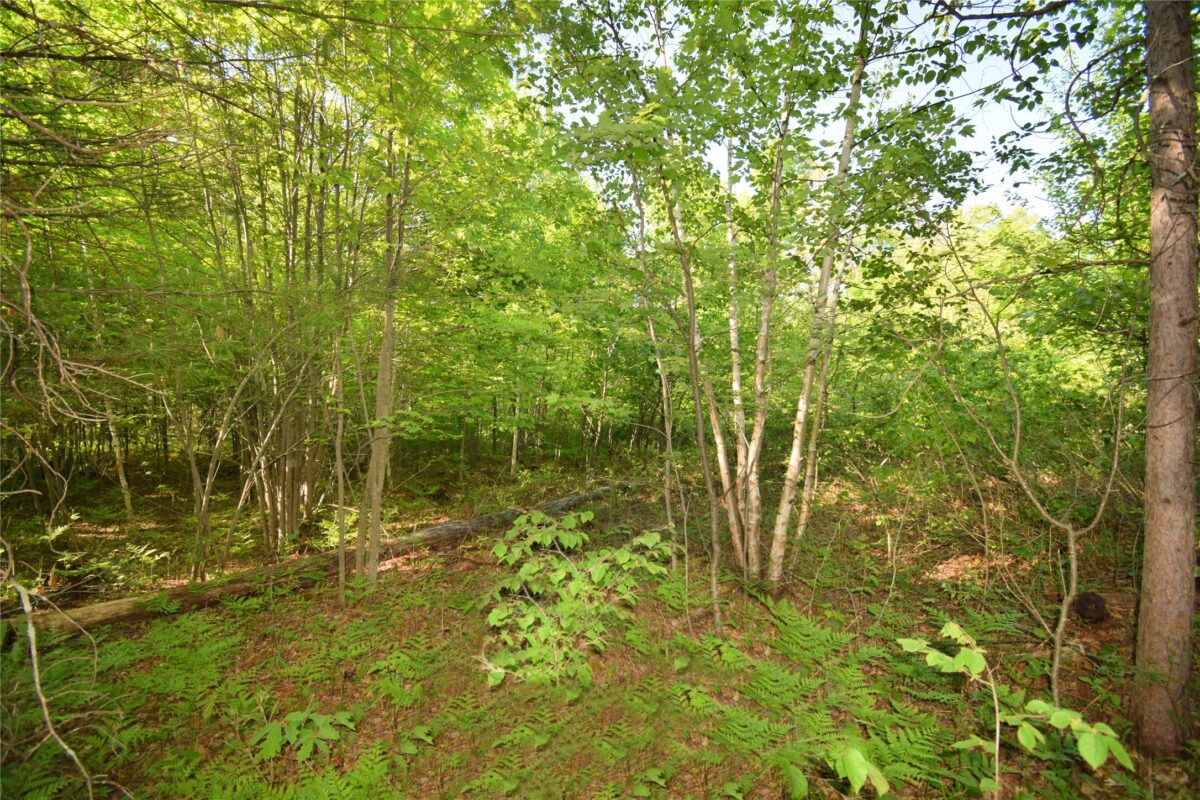 Lot 106 Setting Sun Court, Danbury WI 54830 - Land house for sale - MLS #1601808 - image17