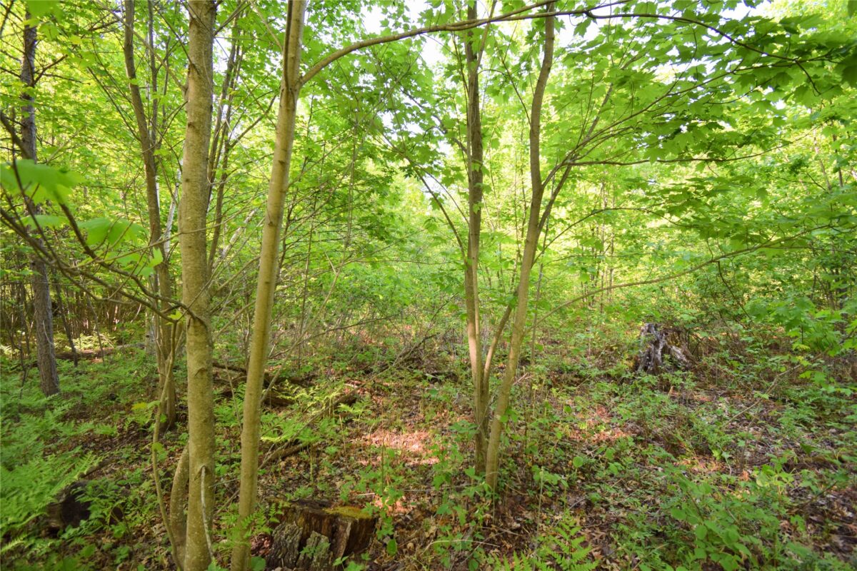 Lot 106 Setting Sun Court, Danbury WI 54830 - Land house for sale - MLS #1601808 - image18
