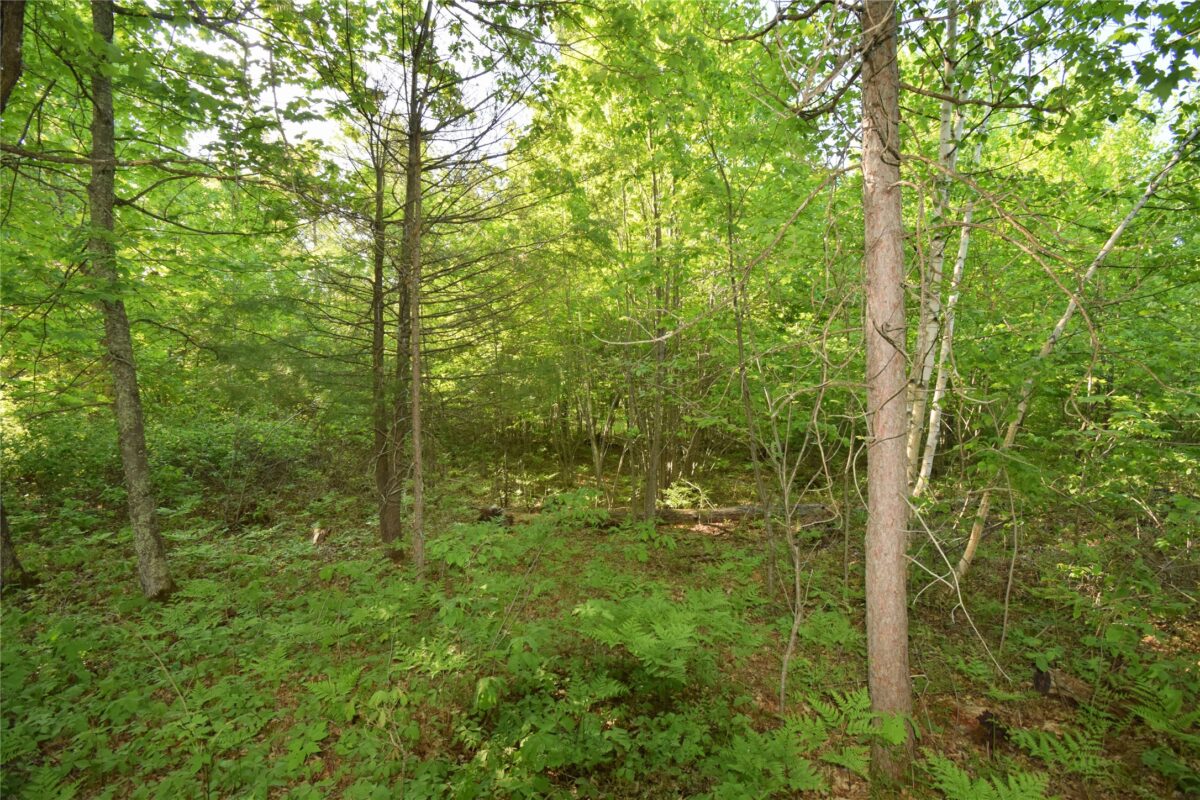 Lot 106 Setting Sun Court, Danbury WI 54830 - Land house for sale - MLS #1601808 - image19