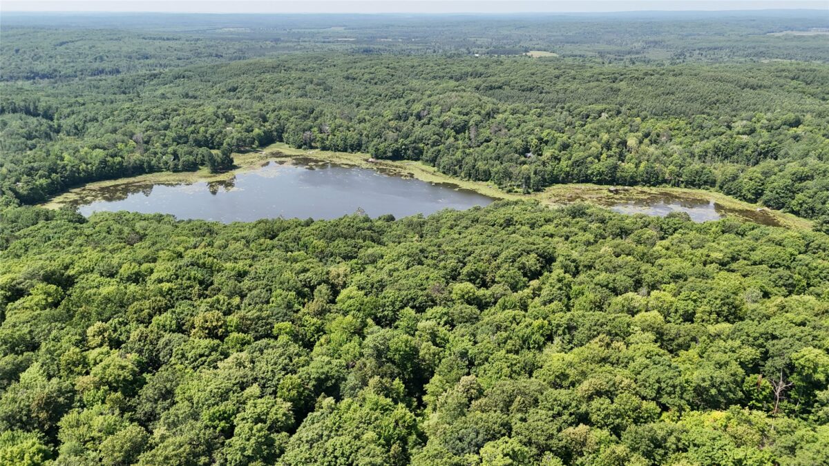 Lot 15 Wolf Lane, Hayward WI 54843 - Land house for sale - MLS #1603884 - image11