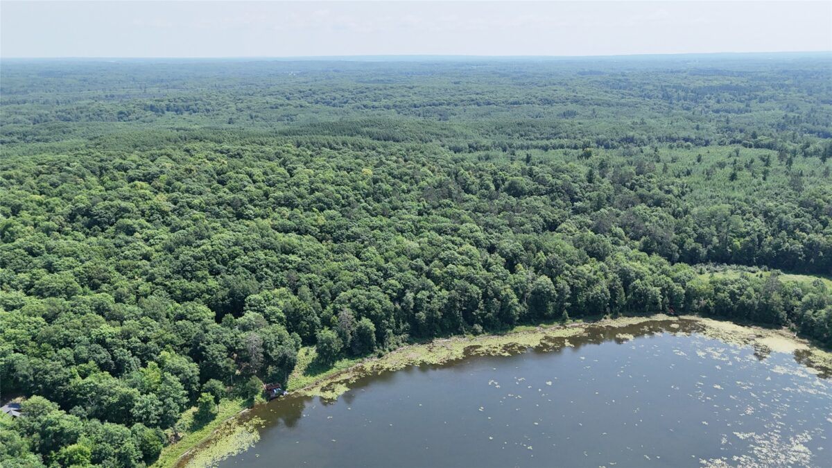 Lot 15 Wolf Lane, Hayward WI 54843 - Land house for sale - MLS #1603884 - image12