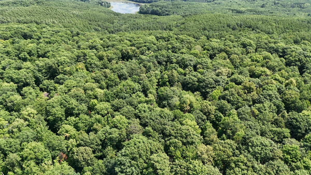 Lot 15 Wolf Lane, Hayward WI 54843 - Land house for sale - MLS #1603884 - image13