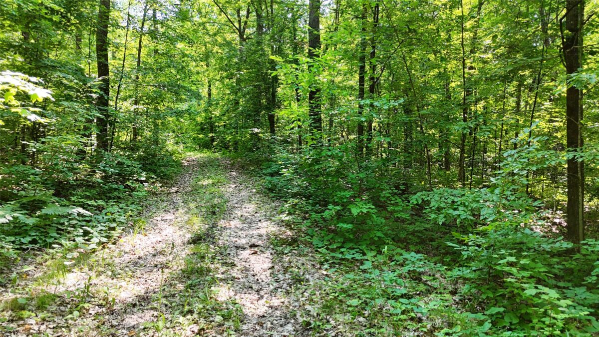 Lot 15 Wolf Lane, Hayward WI 54843 - Land house for sale - MLS #1603884 - image14