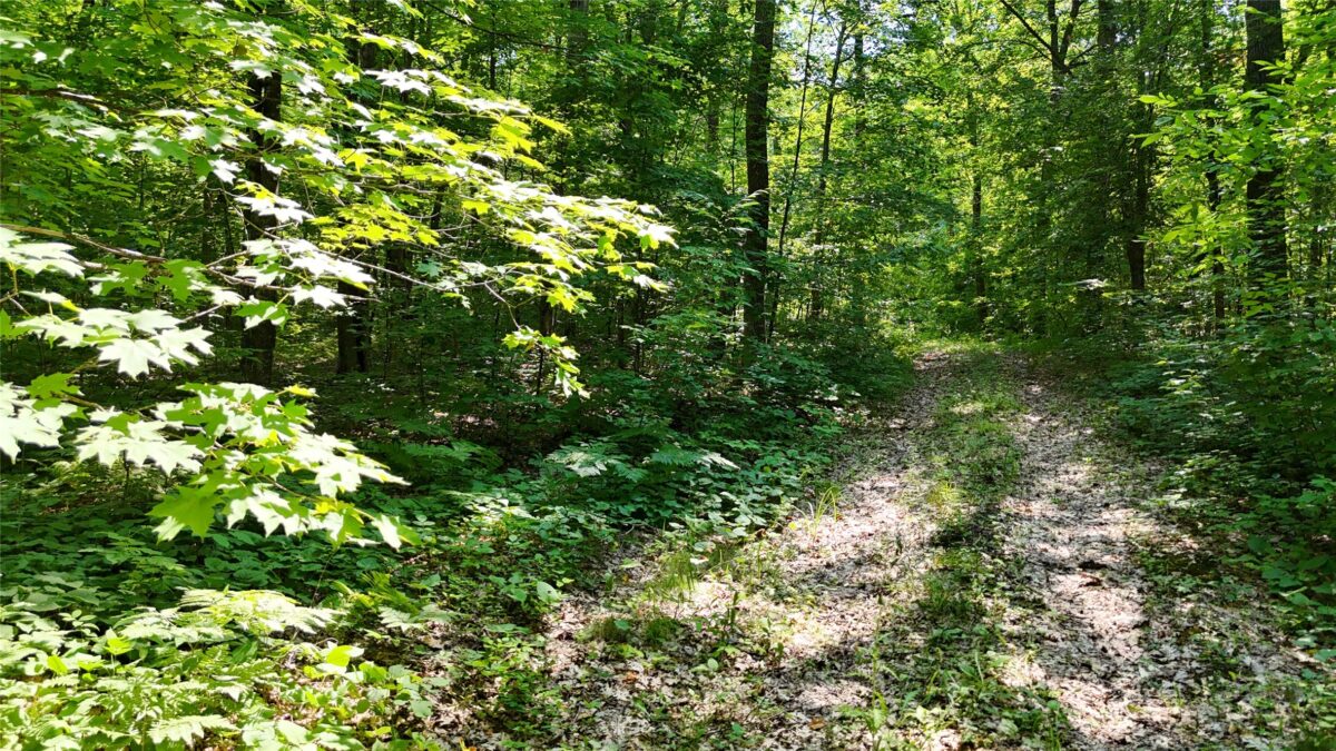 Lot 15 Wolf Lane, Hayward WI 54843 - Land house for sale - MLS #1603884 - image15
