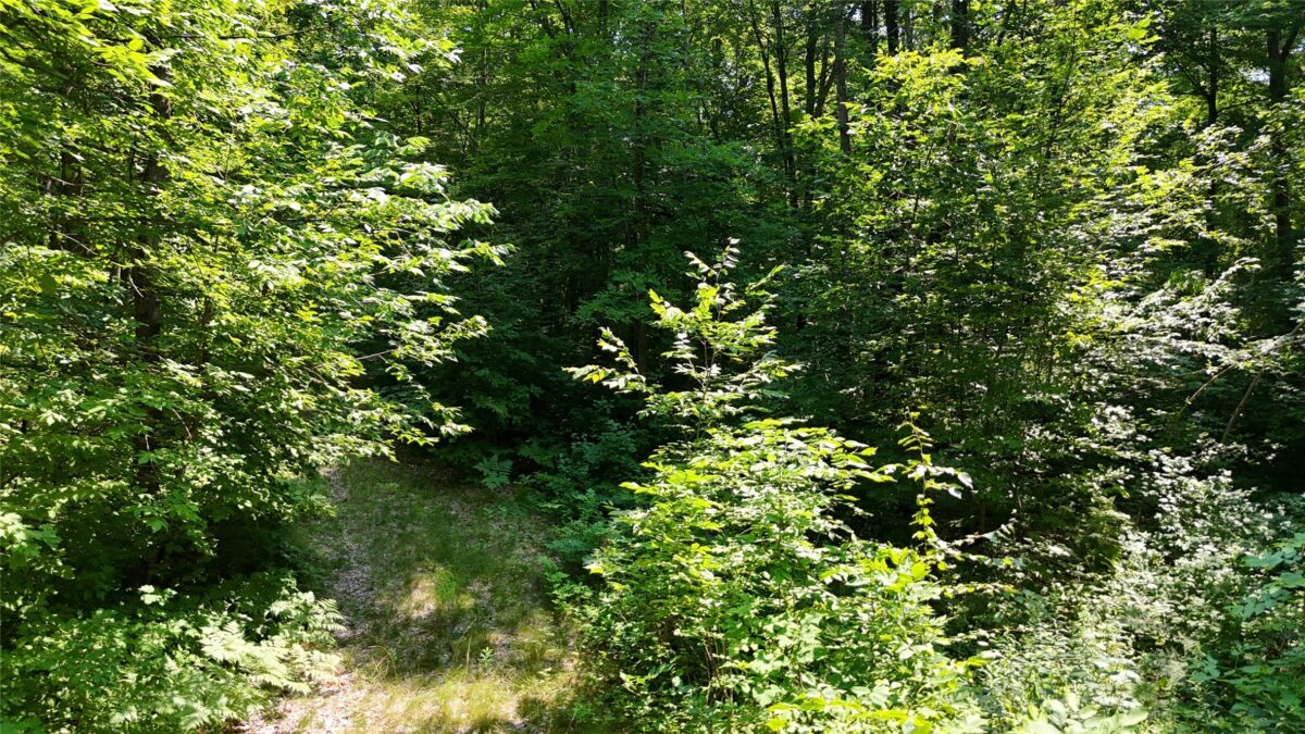 Lot 15 Wolf Lane, Hayward WI 54843 - Land house for sale - MLS #1603884 - image20