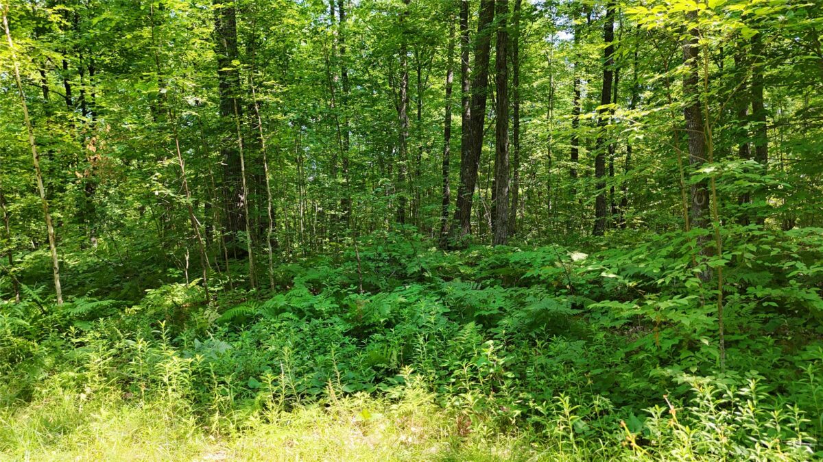 Lot 15 Wolf Lane, Hayward WI 54843 - Land house for sale - MLS #1603884 - image24