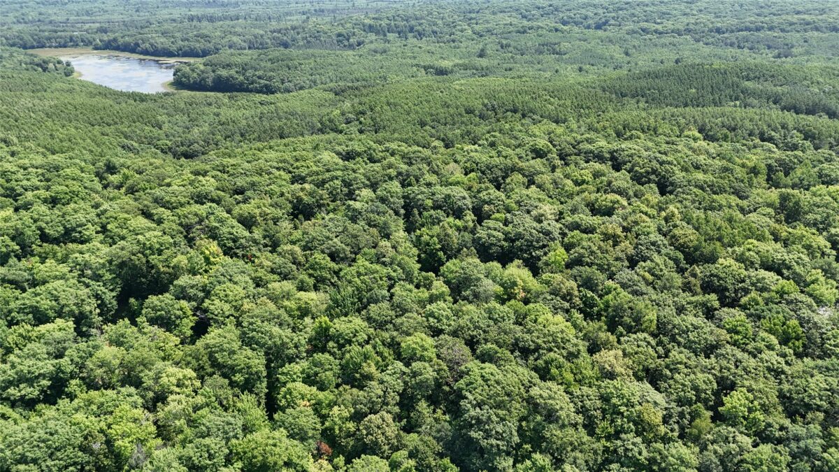 Lot 15 Wolf Lane, Hayward WI 54843 - Land house for sale - MLS #1603884 - image4