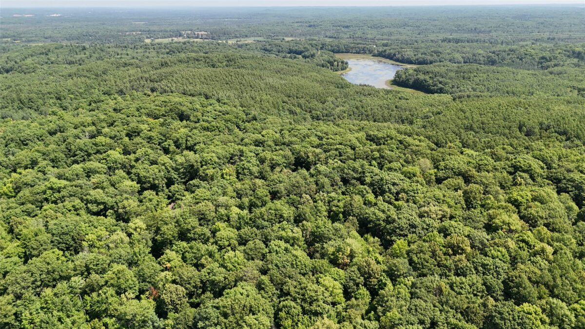 Lot 15 Wolf Lane, Hayward WI 54843 - Land house for sale - MLS #1603884 - image5