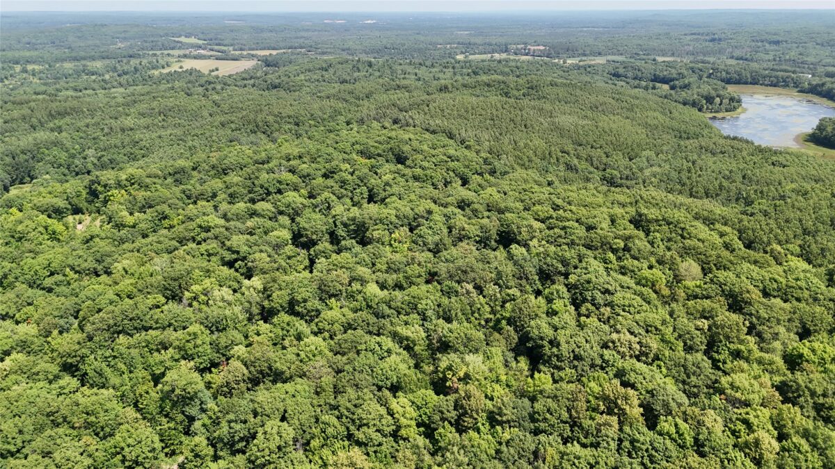Lot 15 Wolf Lane, Hayward WI 54843 - Land house for sale - MLS #1603884 - image6