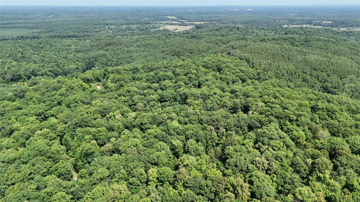Lot 15 Wolf Lane, Hayward WI 54843 - Land house for sale - MLS #1603884 - image7