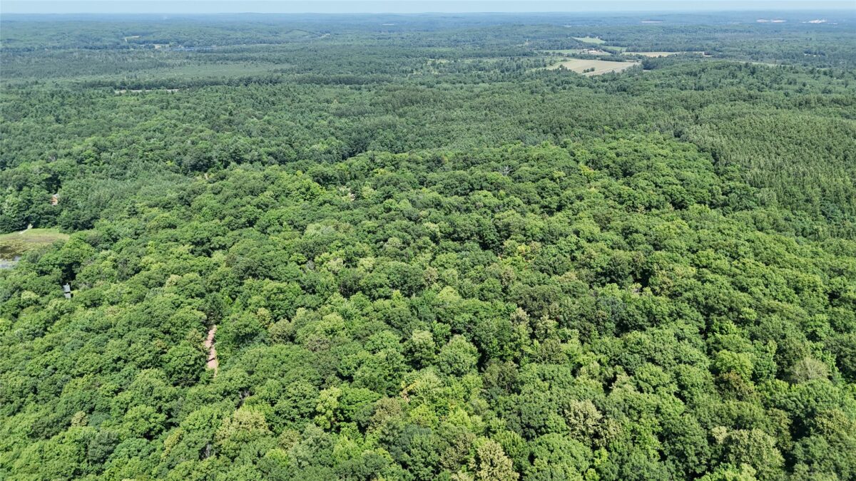 Lot 15 Wolf Lane, Hayward WI 54843 - Land house for sale - MLS #1603884 - image8
