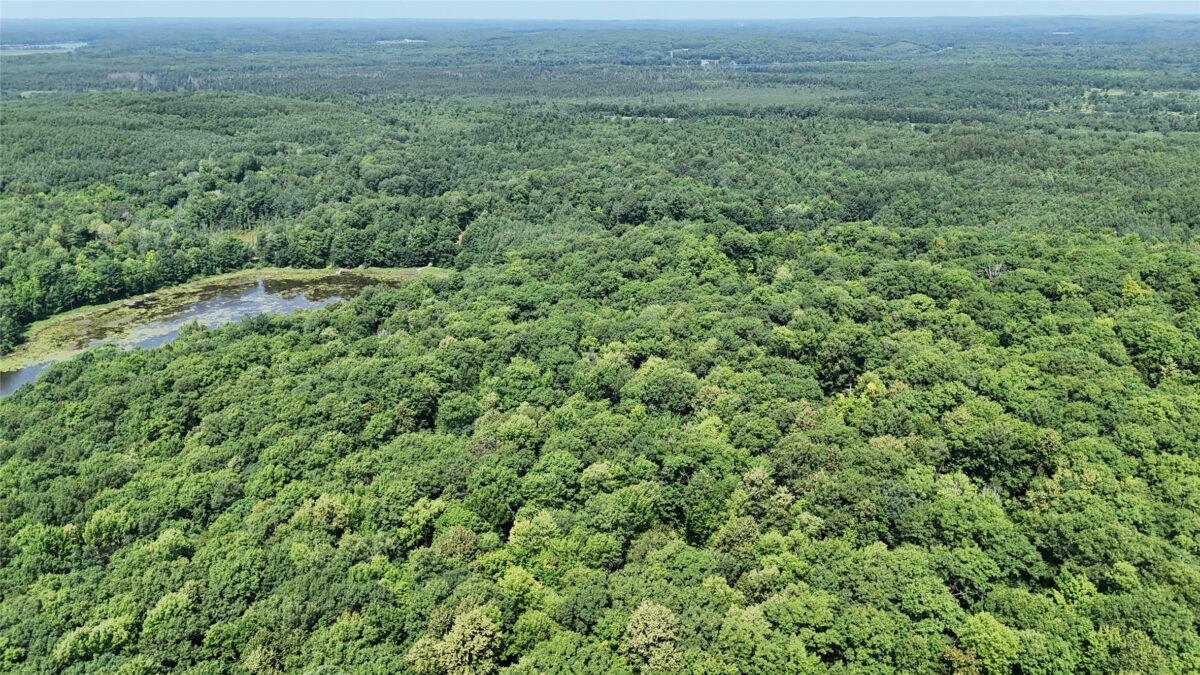 Lot 15 Wolf Lane, Hayward WI 54843 - Land house for sale - MLS #1603884 - image9