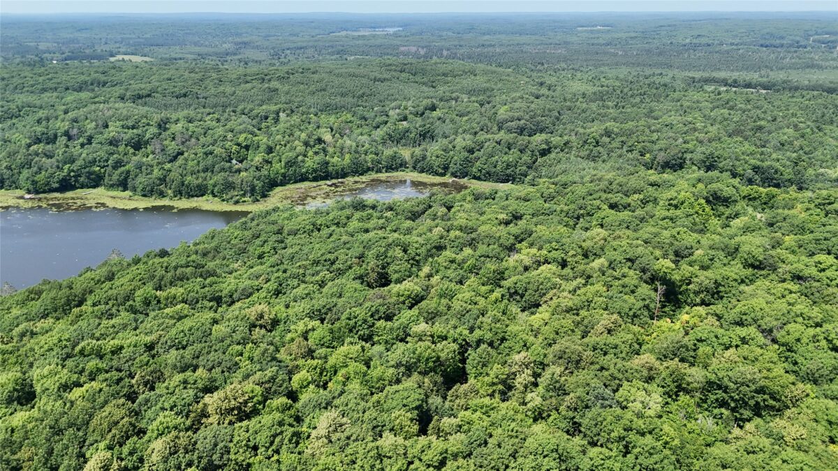 Lot 15 Wolf Lane, Hayward WI 54843 - Land house for sale - MLS #1603884 - image10