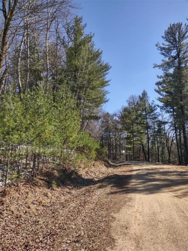 Lot 18 N4XX 297th Street, Eau Galle WI 54737 - Land house for sale - MLS #1590179 - image11