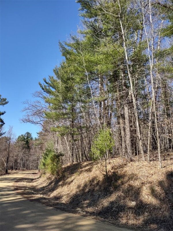 Lot 18 N4XX 297th Street, Eau Galle WI 54737 - Land house for sale - MLS #1590179 - image13