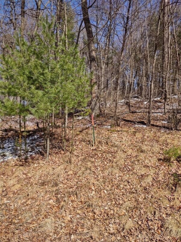 Lot 18 N4XX 297th Street, Eau Galle WI 54737 - Land house for sale - MLS #1590179 - image17
