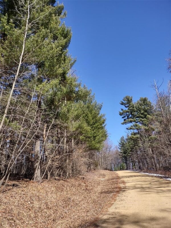 Lot 18 N4XX 297th Street, Eau Galle WI 54737 - Land house for sale - MLS #1590179 - image10