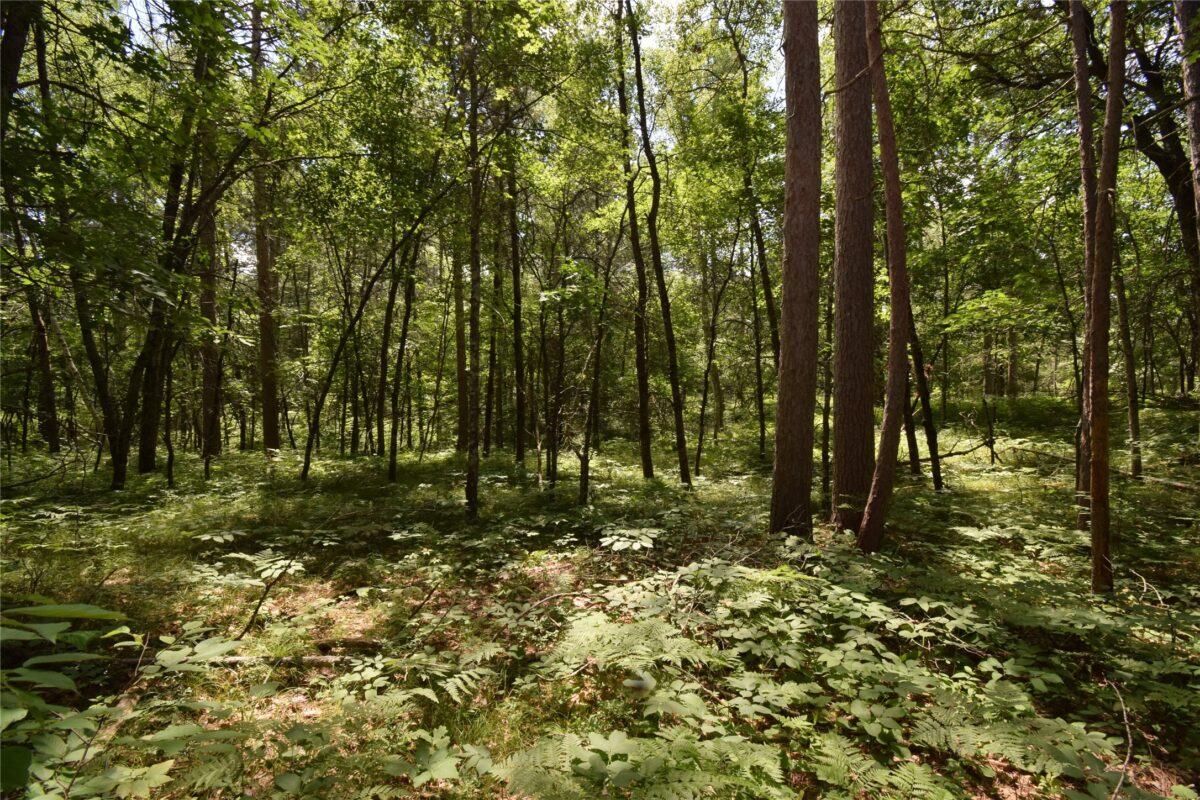 Lot 2 Saylors Lane, Siren WI 54872 - Land house for sale - MLS #1603029 - image12