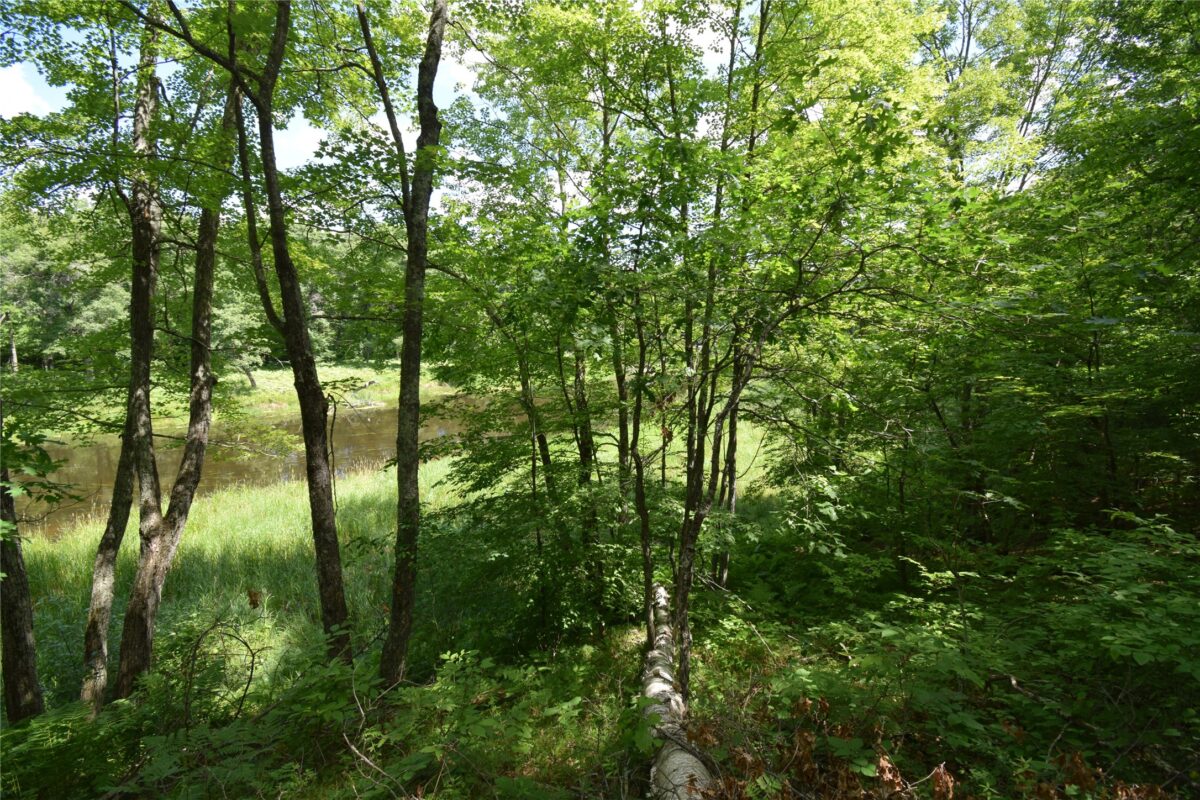 Lot 2 Saylors Lane, Siren WI 54872 - Land house for sale - MLS #1603029 - image3