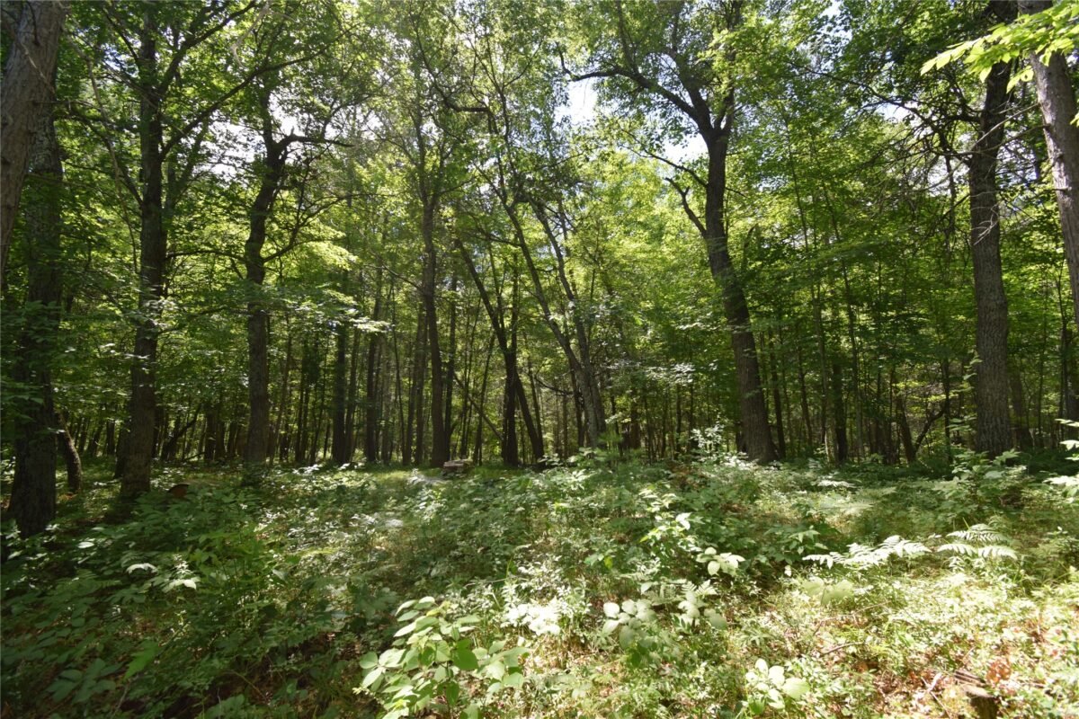 Lot 2 Saylors Lane, Siren WI 54872 - Land house for sale - MLS #1603029 - image7