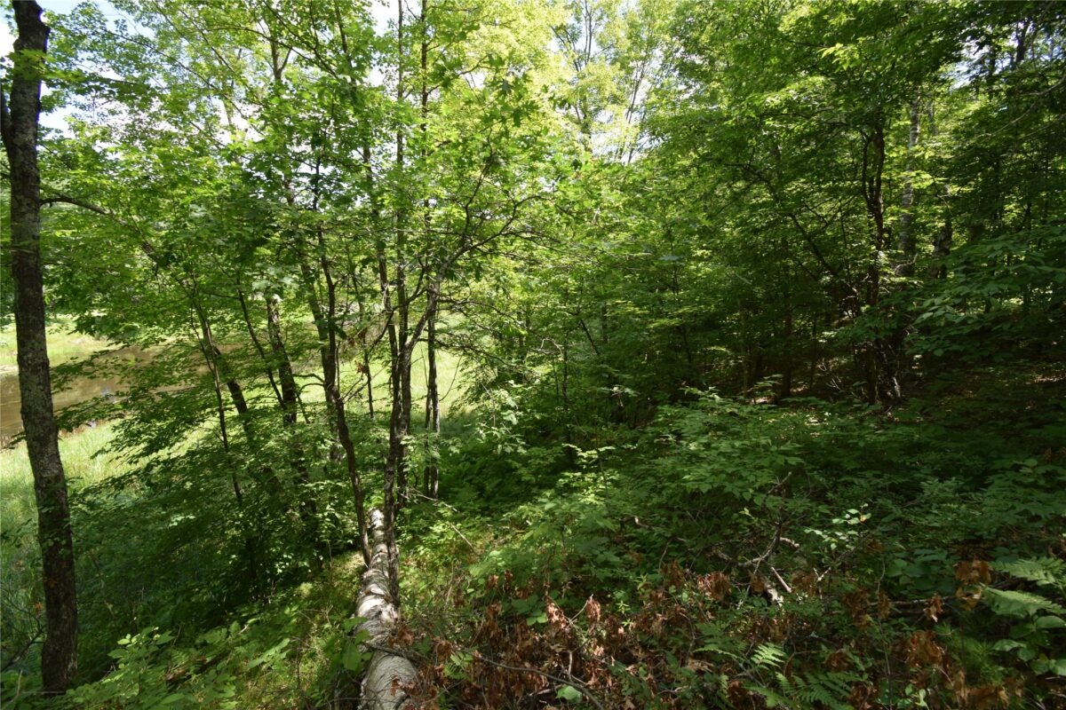 Lot 2 Saylors Lane, Siren WI 54872 - Land house for sale - MLS #1603029 - image8