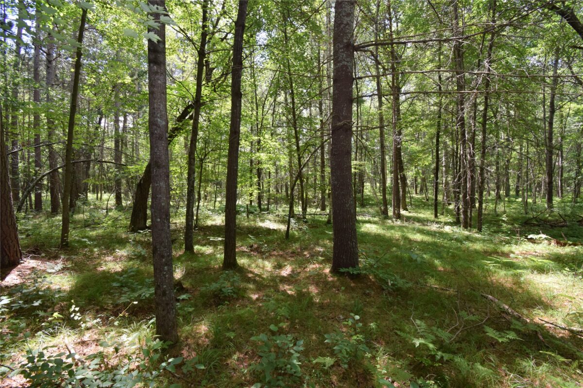 Lot 2 Saylors Lane, Siren WI 54872 - Land house for sale - MLS #1603029 - image9