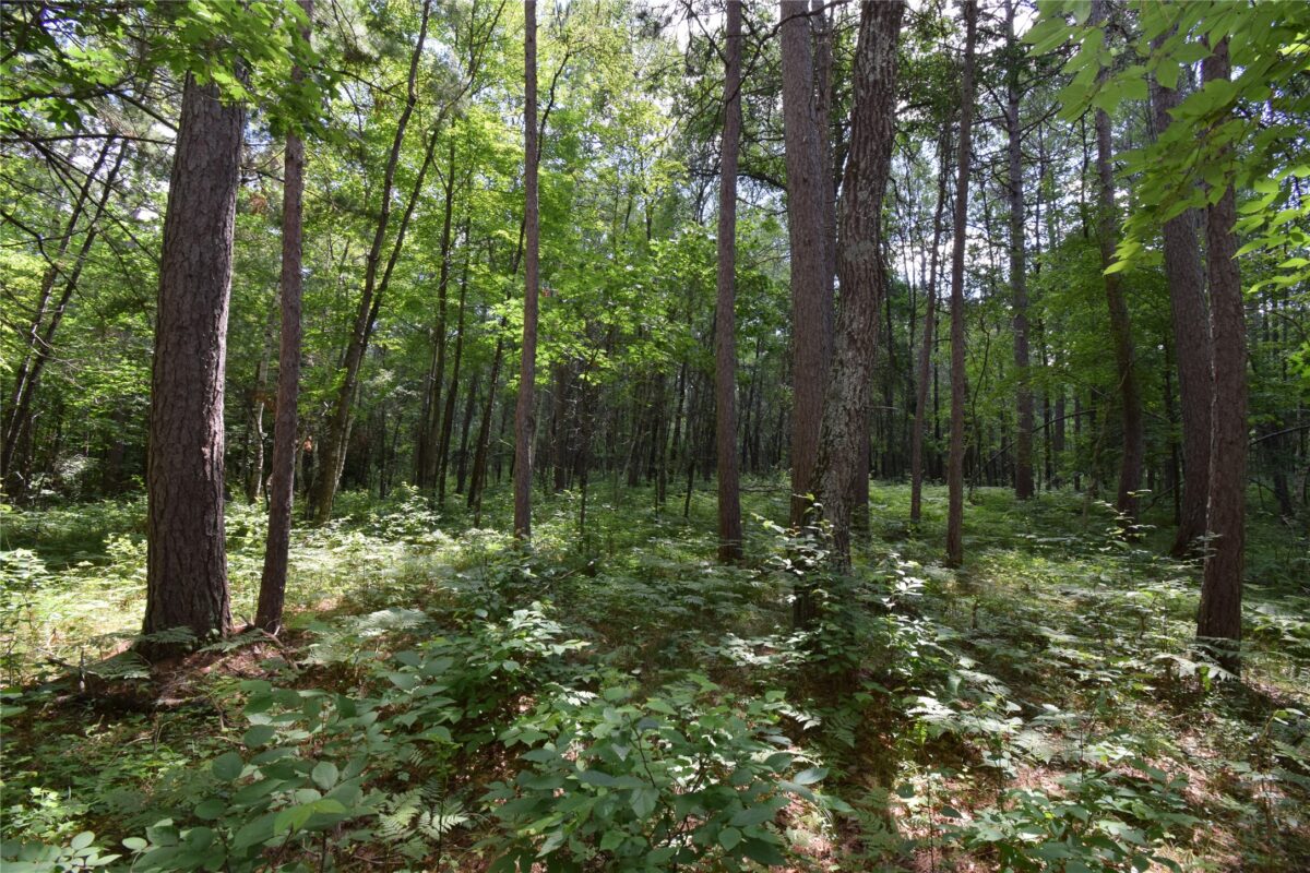 Lot 2 Saylors Lane, Siren WI 54872 - Land house for sale - MLS #1603029 - image10