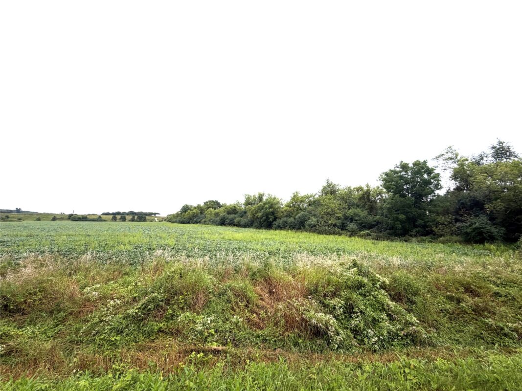 Lot 2 Van Tassel Rd, Osseo WI 54758 - Land house for sale - MLS #1604181 - image13