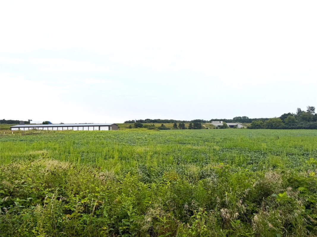 Lot 2 Van Tassel Rd, Osseo WI 54758 - Land house for sale - MLS #1604181 - image7