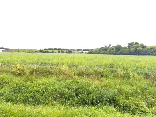 Lot 2 Van Tassel Rd  Osseo WI 54758