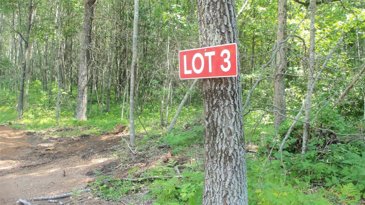 Lot 3 Birch Tree Trl, Spooner WI 54801 - Land house for sale - MLS #1603811 - image2