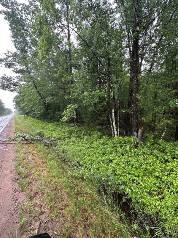 Lot 3 Highway K, Hatfield WI 54754 - Land house for sale - MLS #1598541 - image3